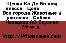 Щенки Ка Де Бо шоу класса › Цена ­ 60 000 - Все города Животные и растения » Собаки   . Ненецкий АО,Верхняя Мгла д.